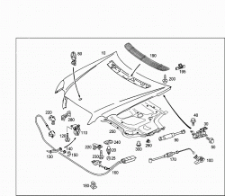 ENGINE HOOD 1