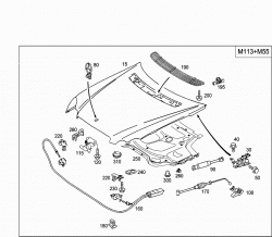 ENGINE HOOD 2