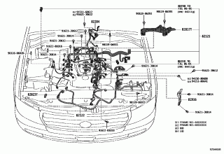 WIRING & CLAMP 1