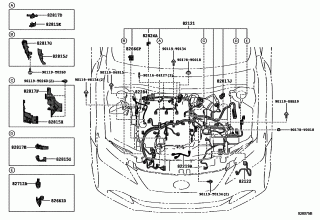 WIRING & CLAMP 6