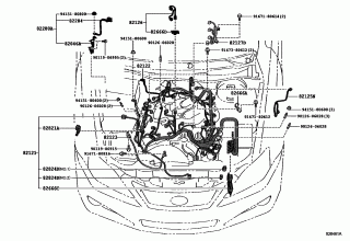 WIRING & CLAMP 1