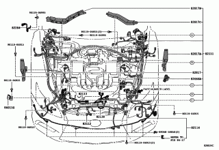 WIRING & CLAMP 10